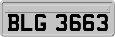 BLG3663