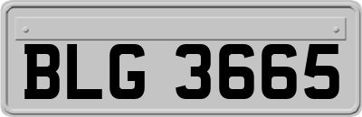 BLG3665