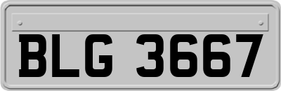 BLG3667