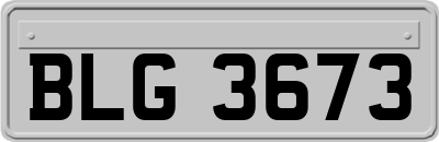 BLG3673
