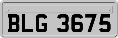 BLG3675