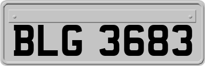 BLG3683