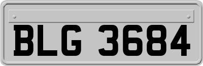 BLG3684