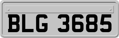 BLG3685
