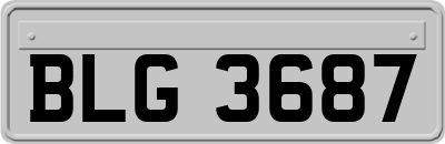 BLG3687