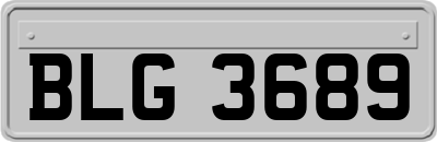 BLG3689