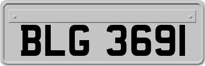 BLG3691