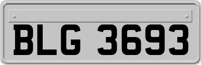 BLG3693