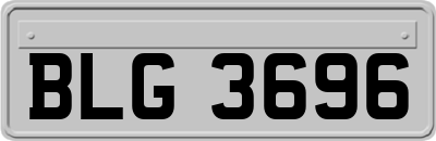 BLG3696