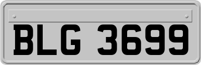 BLG3699