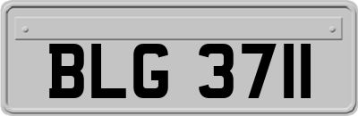 BLG3711