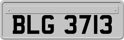 BLG3713