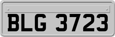 BLG3723