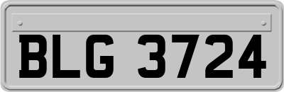 BLG3724