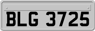 BLG3725