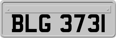 BLG3731