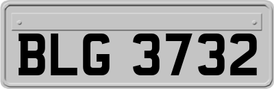 BLG3732