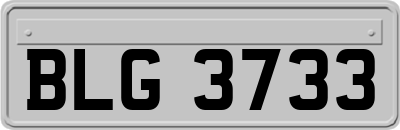 BLG3733