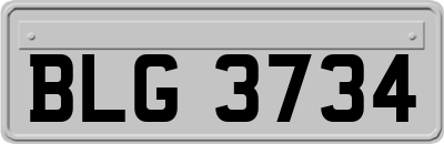 BLG3734