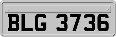 BLG3736
