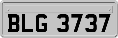 BLG3737