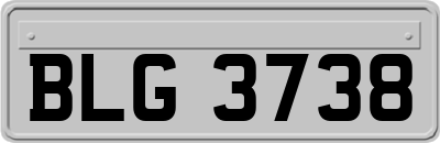 BLG3738