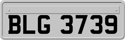 BLG3739