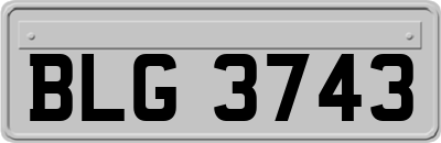 BLG3743