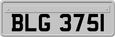 BLG3751