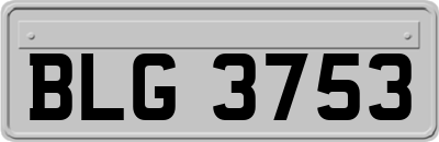 BLG3753