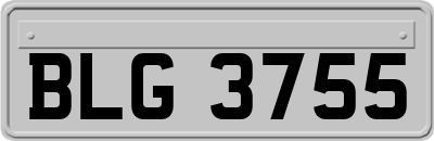 BLG3755
