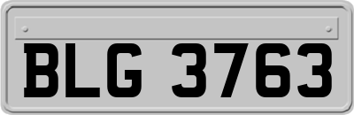 BLG3763