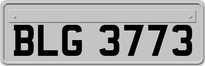 BLG3773