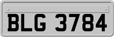 BLG3784
