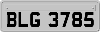 BLG3785