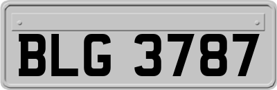 BLG3787