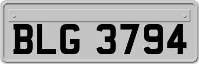 BLG3794