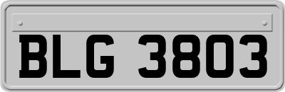BLG3803