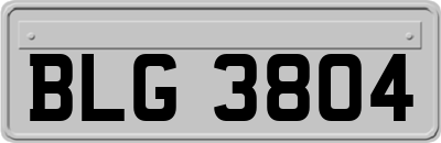 BLG3804