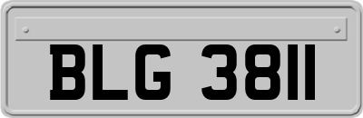 BLG3811
