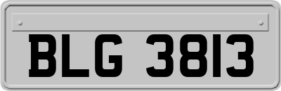 BLG3813