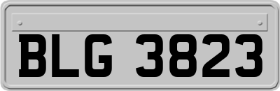 BLG3823