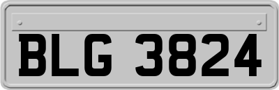 BLG3824