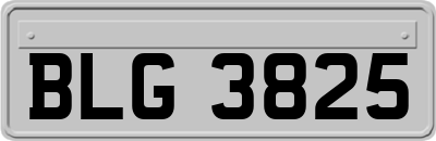 BLG3825
