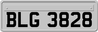 BLG3828