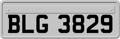 BLG3829