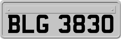 BLG3830
