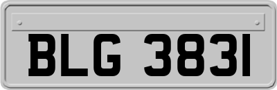 BLG3831