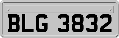 BLG3832