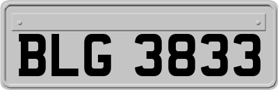 BLG3833